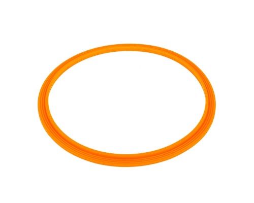 Уплотнительное кольцо AquaViva прожектора LED/UL-P100 2021004