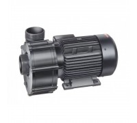 Насос "BADU 21-80/32 RG" без префильтра 54 м³/ч, 2,7/2,20 кВт, 380 В /238.0320.537/