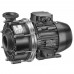 Насос BADU 21-50/42 G без префильтра 30 м³/ч, 1,33/1,10 кВт, 380 В
